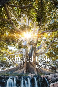 Scattered Light - Blue, Jay