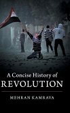 A Concise History of Revolution