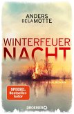 Winterfeuernacht (eBook, ePUB)