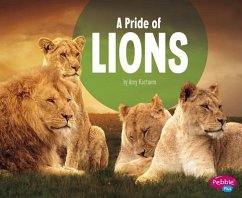 A Pride of Lions - Kortuem, Amy