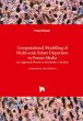 Computational Modelling of Multi-scale... - Bild 1