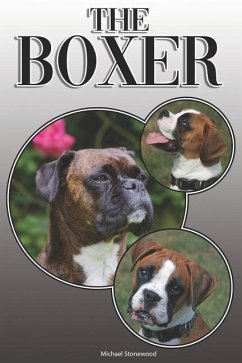 The Boxer - Stonewood, Michael