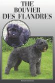 The Bouvier Des Flandres