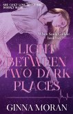 Light Between Two Dark Places