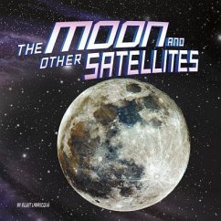 The Moon and Other Satellites - Labrecque, Ellen