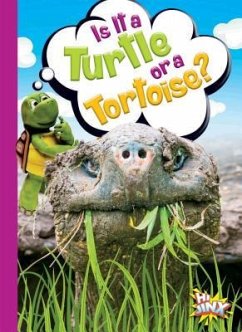 Cover Is It a Turtle or a Tortoise?