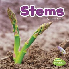 Stems - Kirkman, Marissa