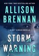 Storm Warning (eBook, ePUB) - Bild 1