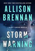 Storm Warning (eBook, ePUB)