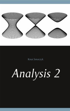 Analysis 2 - Smoczyk, Knut