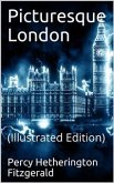 Picturesque London (eBook, PDF) Picturesque London (eBook, PDF)