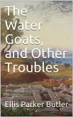 The Water Goats, and Other Troubles (eBook, PDF)