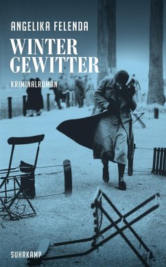 Wintergewitter / Kommissär Reitmeyer Bd.2 - Felenda, Angelika