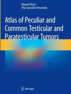 Atlas of Peculiar and Common Testicular and Paratesticular Tumors - Nistal, Manuel;González-Peramato, Pilar
