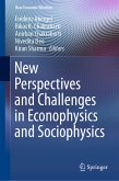 New Perspectives and Challenges in Econophysics and Sociophysics (eBook, PDF)