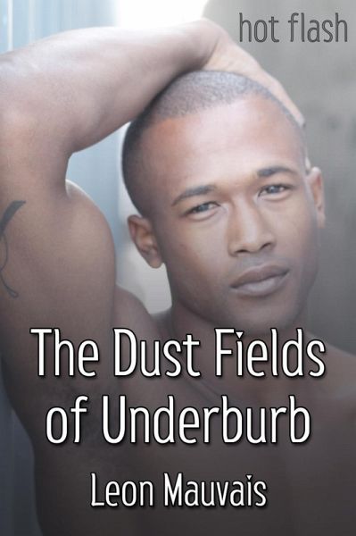 Dust Fields of Underburb (eBook, ePUB) Dust Fields of Underburb (eBook, ePUB)