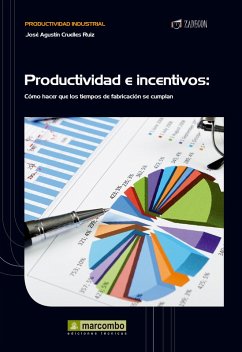 Cover Productividad e incentivos (eBook, ePUB)