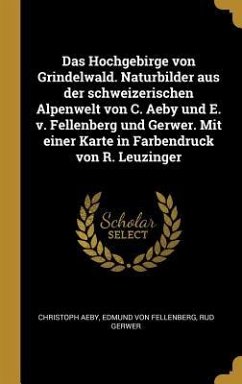 Das Hochgebirge Von Grindelwald. Naturbilder Aus Der Schweizerischen Alpenwelt Von C. Aeby Und E. V. Fellenberg Und Gerwer. Mit Einer Karte in Farbend - Aeby, Christoph; Fellenberg, Edmund von; Gerwer, Rud