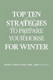 Top Ten Strategies To Prepare Your Horse For Winter