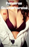 Perverse Geschäftsreise (eBook, ePUB)