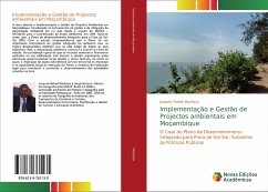 Implementação e Gestão de Projectos ambientais em Moçambique - Machava, Joaquim Rafael