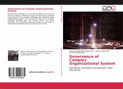 Governance of Complex Organizational System