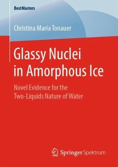 Glassy Nuclei in Amorphous Ice - Tonauer, Christina Maria