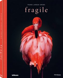 Fragile - Krebs, Pedro Jarque