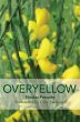 Overyellow, an Installation (eBook, PDF) - Bild 1
