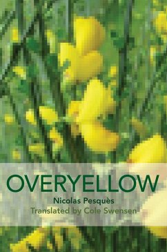 Overyellow, an Installation (eBook, PDF) - Pesquès, Nicholas