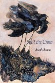 Split the Crow (eBook, PDF)