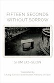 Fifteen Seconds without Sorrow (eBook, PDF)