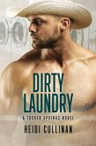 Dirty Laundry (eBook, ePUB)