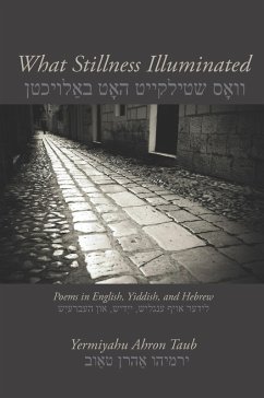 What Stillness Illuminated (eBook, PDF) - Taub, Yermiyahu Ahron