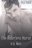Riderless Horse (eBook, ePUB)