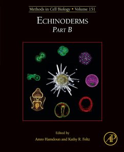 Echinoderms Part B (eBook, ePUB)