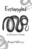Entangled (eBook, ePUB)