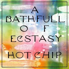 A Bath Full Of Ecstasy (Mini-Gatefold) - Hot Chip