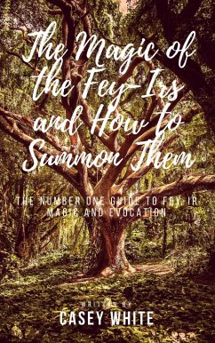 The Magic of the Fey-Irs and How to Summon Them (eBook, ePUB) - White, Casey