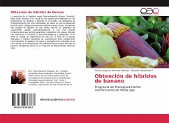 Obtención de híbridos de banano - Ramírez Pedraza, Teresa de Jesus;Hernández P., Ricardo