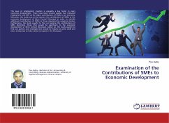 Examination of the Contributions of SMEs to Economic Development - Ayitey, Pius
