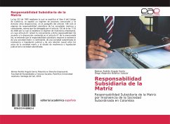 Responsabilidad Subsidiaria de la Matriz - Angulo Sarria, Beimar Andrés;Bolaños Salazar, Diego Alejandro