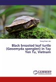 Black breasted leaf turtle (Geoemyda spengleri) in Tay Yen Tu, Vietnam