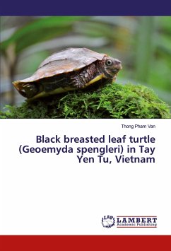 Black breasted leaf turtle (Geoemyda spengleri) in Tay Yen Tu, Vietnam - Pham Van, Thong