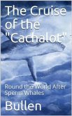 The Cruise of the &quote;Cachalot&quote; Round the World After Sperm Whales (eBook, PDF)