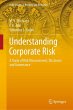 Understanding Corporate Risk - Bild 1