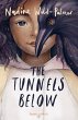 The Tunnels Below (eBook, ePUB) - Bild 1