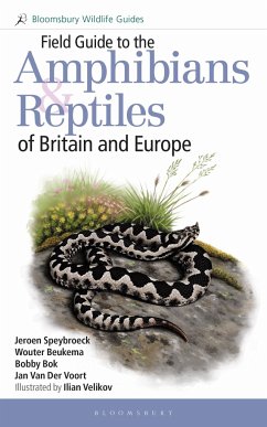 Field Guide to the Amphibians and Reptiles of Britain and Europe - Speybroeck, Jeroen; Beukema, Wouter; Bok, Bobby