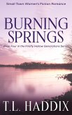 Burning Springs: A Small Town Women's Fiction Romance (Firefly Hollow Generations, #4) (eBook, ePUB)