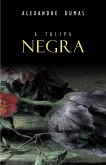 Tulipa Negra (eBook, ePUB)